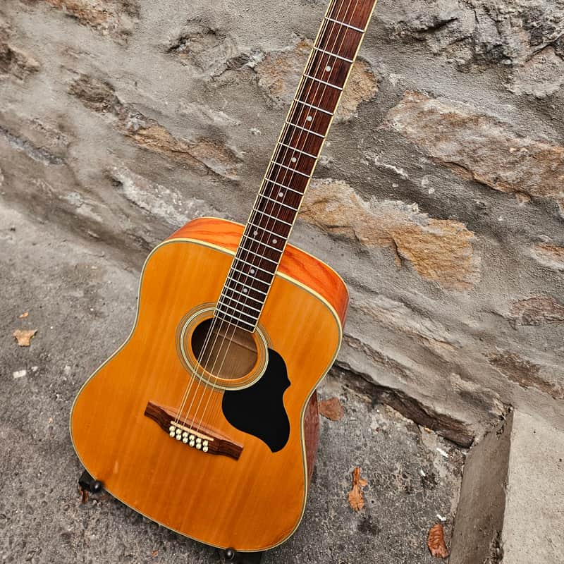 -2010 Crafter MD50-12n Natural