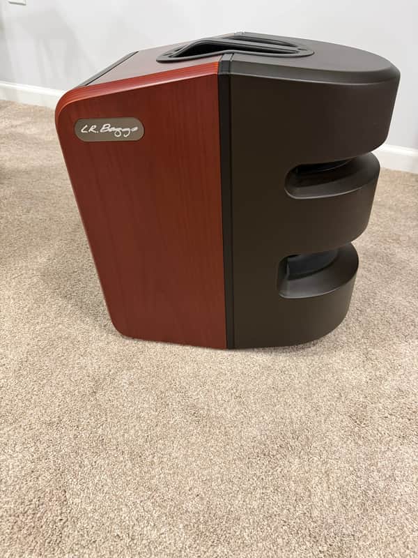 Two (2) LR Baggs Synapse Personal P.A. System 2019 - 2021 with bags, cables, stands - Walnut imagen 1