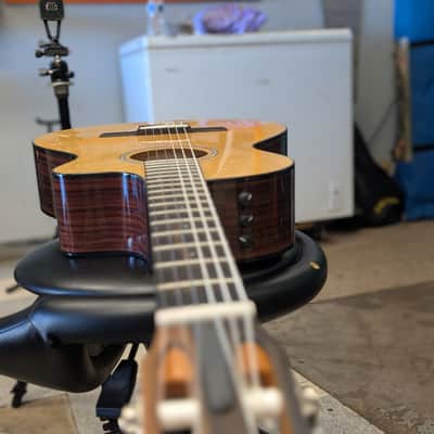 Taylor 212ce-N Plus 2022 - Gloss Body, Matte Neck. image 16