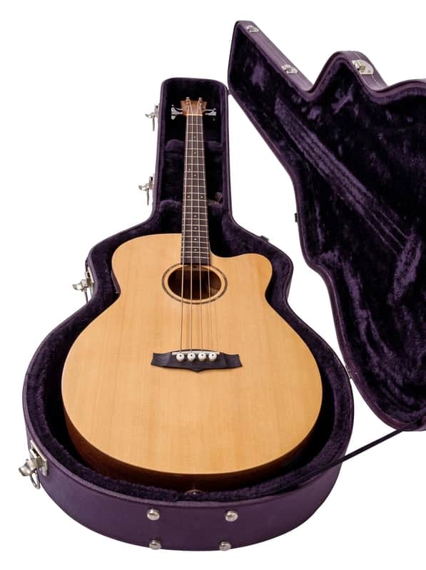 Tanglewood roadster series acoustic bass Bild 1