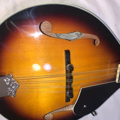 Oscar Schmidt Washburn OM-10 Mandolin and Superior Case Gigbag 2000s - Sunburst image 2