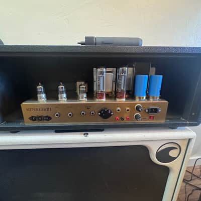 Fortin Amplification Meshugga  serial 33 image 5