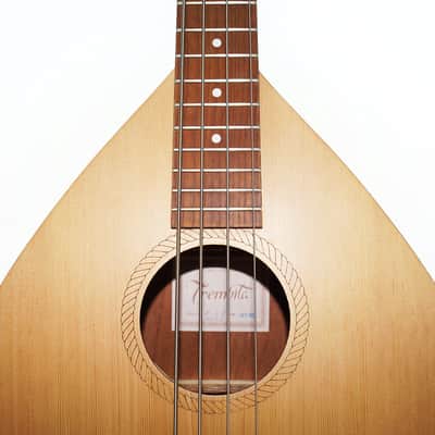 Original New Ukrainian Bass Guitar 4 Strings Folk Kobza Lute Wooden Quality Musical Instrument Trembita Powerful Sound! image 2