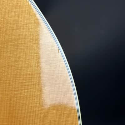 Used 2002 Gibson Chet Atkins SST w/case TSU24947 image 7