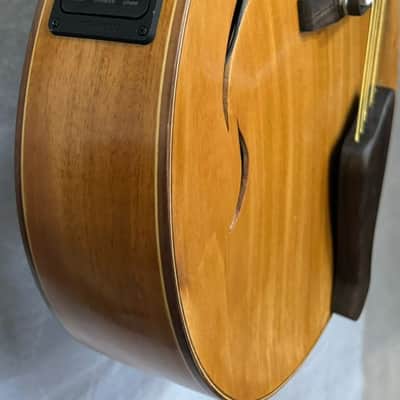Blueberry Handmade Nine String Archtop Guitar Built to Order image 6
