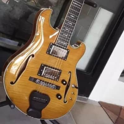 Ollandoc Trey Anastasio Languedoc Replica, PHISH image 1