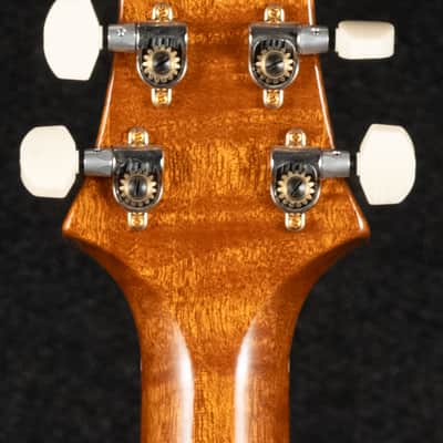 PRS Eagle V "Experience 2020" Model - Charcoal image 12
