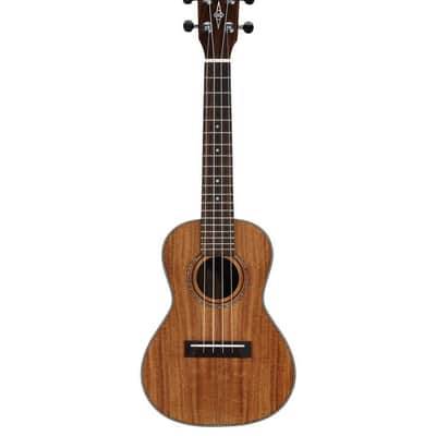 Alvarez Regent Concert Ukulele Pack w/Tuner and Gig bag (RU90CP) image 2