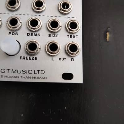 Big T Monsoon Mutable Instruments Clouds Clone Eurorack Module image 9