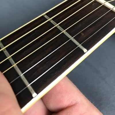 Morris W-20 Spruce / Rosewood image 8