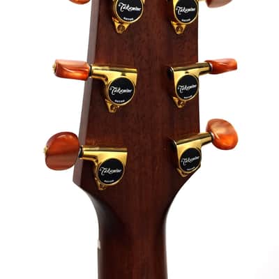 Takamine EAN10C Pro Series Dreadnought Cutaway Acoustic-Electric Guitar + Case image 11