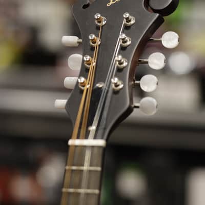 The Loar LM-310F Honey Creek F-Style Mandolin - Brown Burst image 5