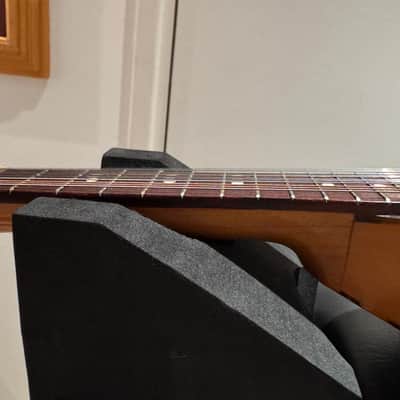 Vintage Bowlback 12 String Mandolin - Mandriola / Trichord image 22