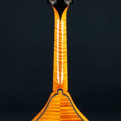 Collings MT2 Honey Amber Adirondack Spruce and Flamed Maple Mandolin NEW image 19