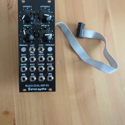 Erica Synths Black Dual ASR EG 2021 - Present - Black image 1