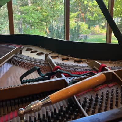 Steinway & Sons M 5'7 Grand Piano – Mahogany Powerful Tone image 5
