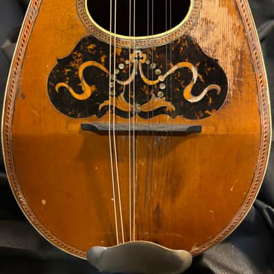American conservatory Lyon & Healy Bowl Back mandolin - Early 1900s  - Brazilian Rosewood - All Org. - Great Player - Ships FREE!!! image 2