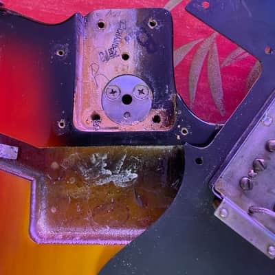 Fender Telecaster Custom with Rosewood Fretboard 1973  Sunburst image 13