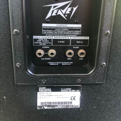 Single Peavey SP-2G- 600W 8Ω Sound Stage Reinforcement Speaker