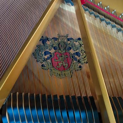 Wurlitzer C153 Mid 1980’s - Ebony image 7