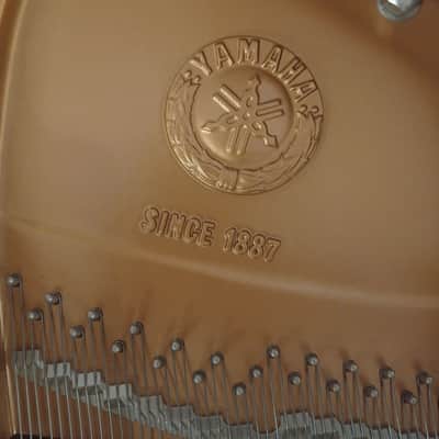 Yamaha DISKLAVIER C3 MOD MARK IV SERIES image 11