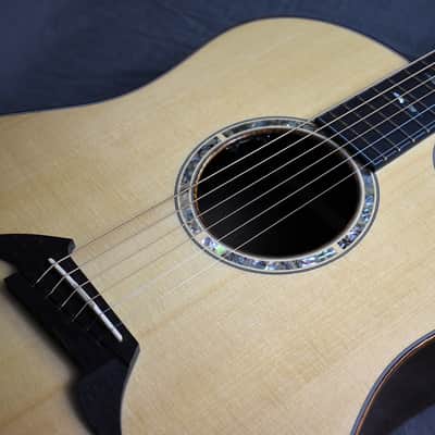 2010 Breedlove Special Edition Focus D image 25
