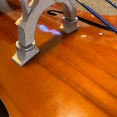 Eastman VB80 Double Bass imagen 8