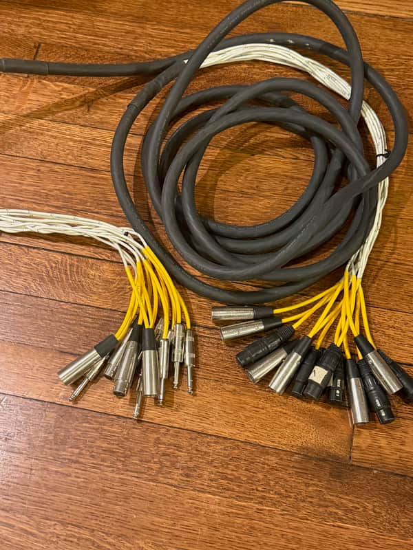 12 Pair Snake Multi Cable 20FT long with XLR and TRS Connectors image 1