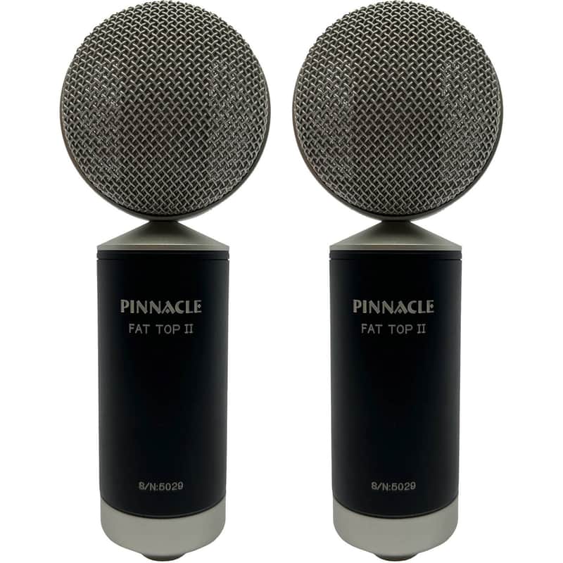 Pinnacle Microphones D-FTII-ST-S Fat Top II Ribbon Microphone Stereo Pair image 1