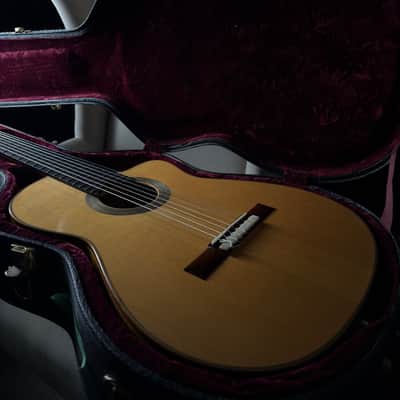 Kenny Hill 7 String Classical Cutaway Crossover Seven String image 15