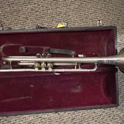 Cavalier Pea shooter trumpet image 16