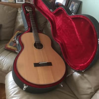 Mota Acoustic Bass 2020 French Finish image 4