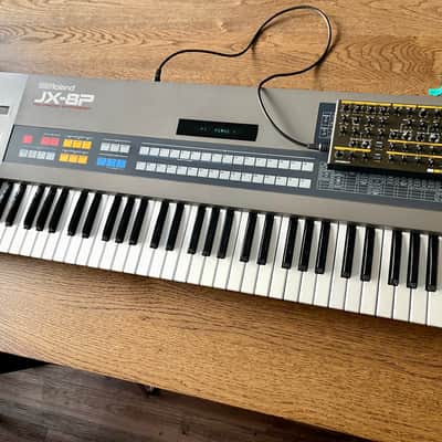 Roland JX-8P Classic 1985 Analog Synthesizer + Retroaktiv MPG-8 Programmer - Excellent image 2