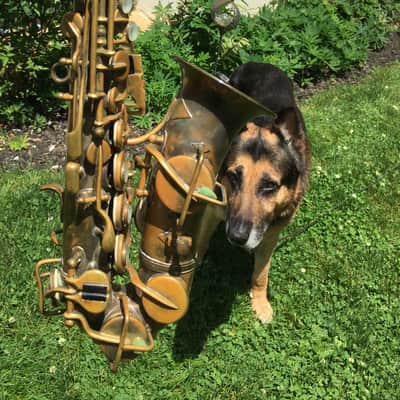 SUMMER DEAL MARTIN 1921 CURVED SOPRANO SAXOPHONE WITH ORIGINAL CASE SAX BUILT LIKE A TANK NEEDS OVERHAUL MECHNICALLY SOUND A CLASSICVINTAGE SOPRANO image 3