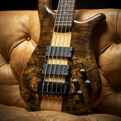 Spector NS-5XL – Myrtle Burl & Maple – Woodstock Custom Collection image 3