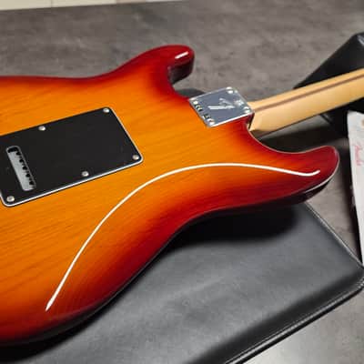 Fender Player Series Stratocaster HSH BRAND NEW Tobacco Burst Sunburst Pro Strat Limited Edition Discontinued NOS Electric Guitar image 8