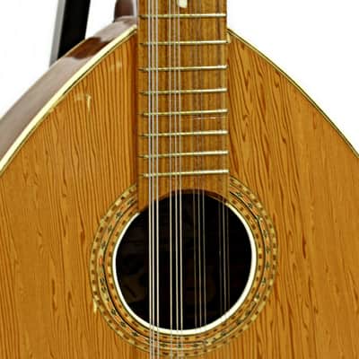 "San Jose" Bolivian / Peruvian Bandurria, Manufactured in La Paz, Bolivia image 5