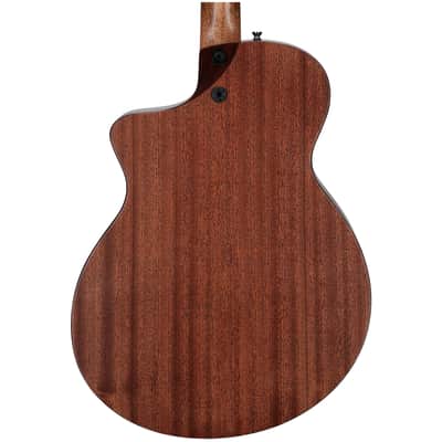 Martin SC-10E Spruce Acoustic-Electric Guitar (with Soft Case) image 5