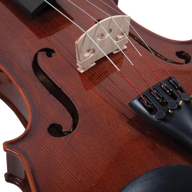 Palatino VN-850 | 4/4 Violin with Case, Bow and Rosin. New with Full Warranty! image 1