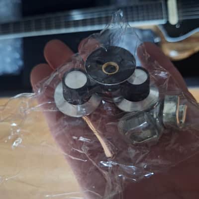 Dunable R2 - USA 2019 - Black Limba Natural image 7