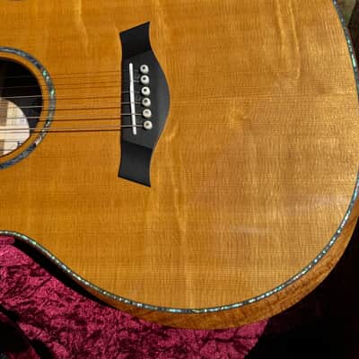 Taylor 2024 "Catch" Custom #27 Grand Auditorium Bearclaw Sitka/Bocote B4027 C14ce Acoustic-Electric Guitar w/HSC image 11