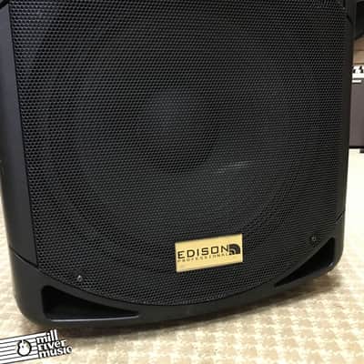 Edison Powered 15" PA Speaker / Monitor image 2