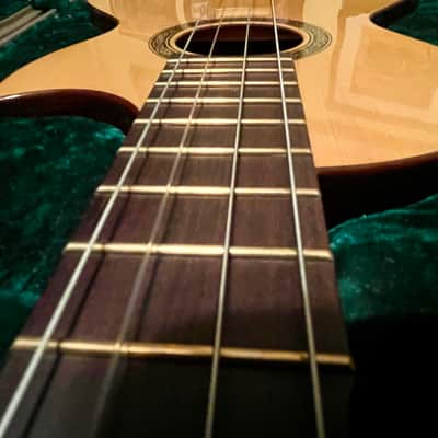 Southcoast RARE — Tenor Guitar/Baritone Ukulele 2017 image 7