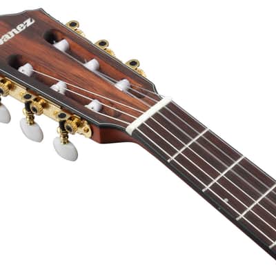 Ibanez FRH10N Thinline Nylon Acoustic Electric Guitar - Rose Gold Metallic Flat (FRH10NRGF) image 4