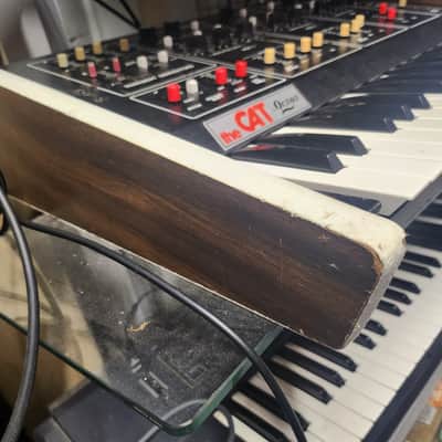 the CAT by Octave 70s Analog Synthesizer - Serviced & Working - Available for Demo image 6