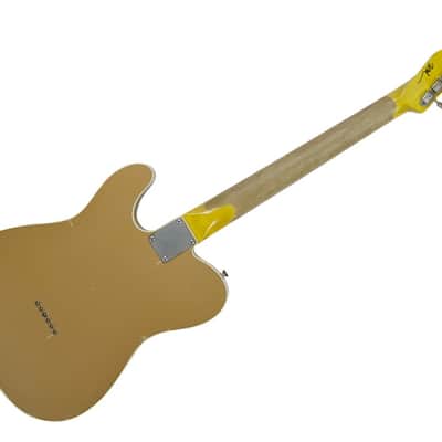 Nash Guitars T2HB/DB w/ Hardshell Case - LP Gold/Rosewood - NG-3244 image 4