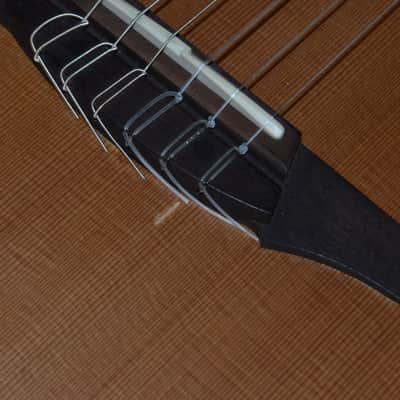 Breedlove Passport N250/C0e ~2014 Natural image 6