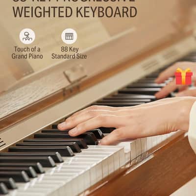 Donner DDP-80 PLUS - Walnut image 2