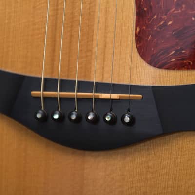 Immagine Taylor 614ce - Solid Maple / Spruce / Ebony - 11