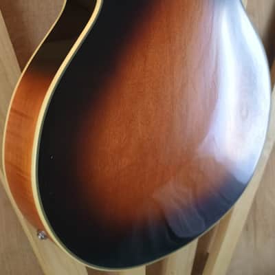 Cort Joe Beck6 - SunBurst image 17